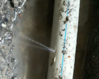 荣昌卫生间测漏水多少钱